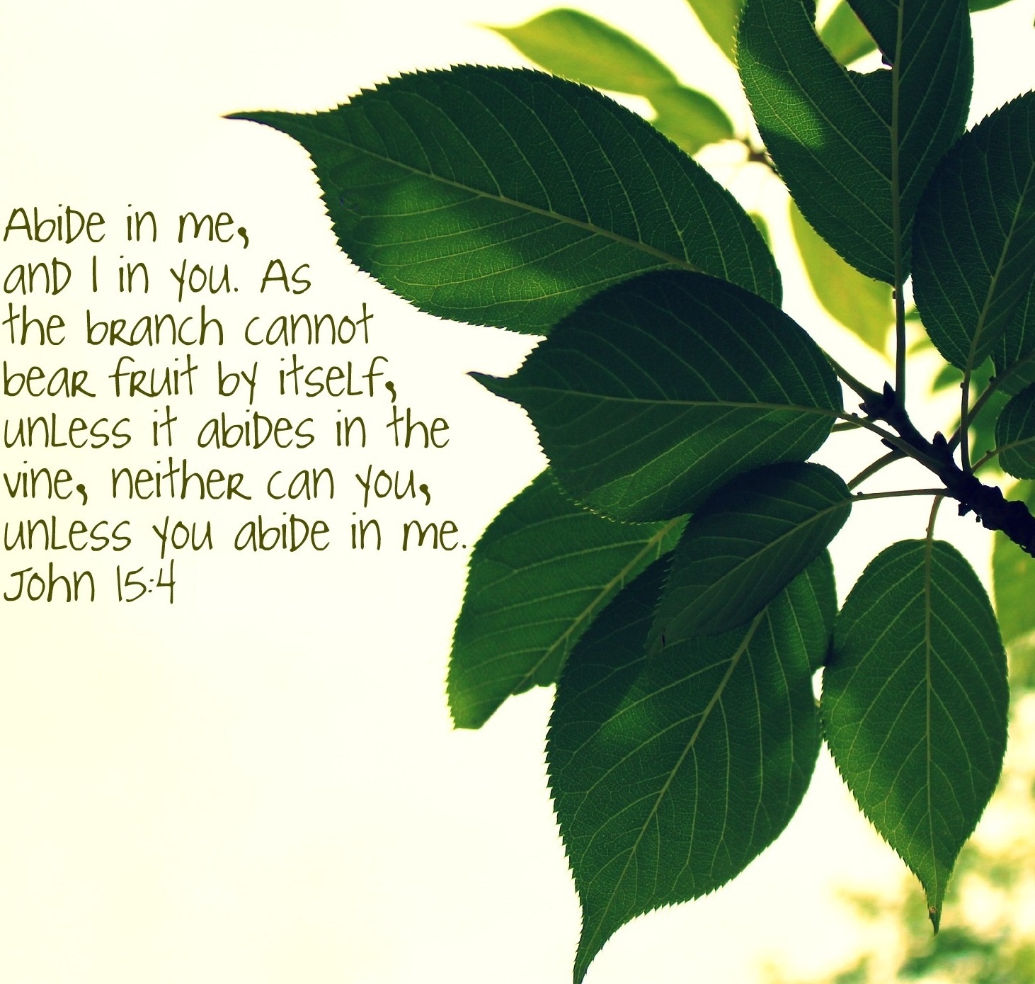 Image-Abide In Me Abide in the Vine