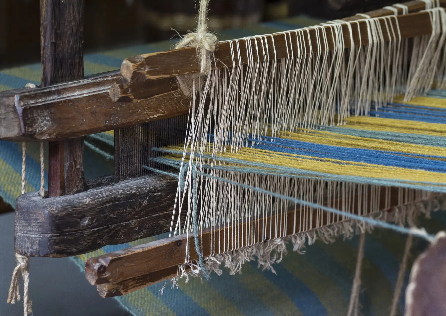 Christ Our Life & Pattern