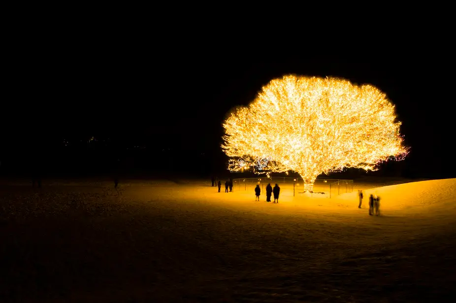 The Logos, Life, & Light