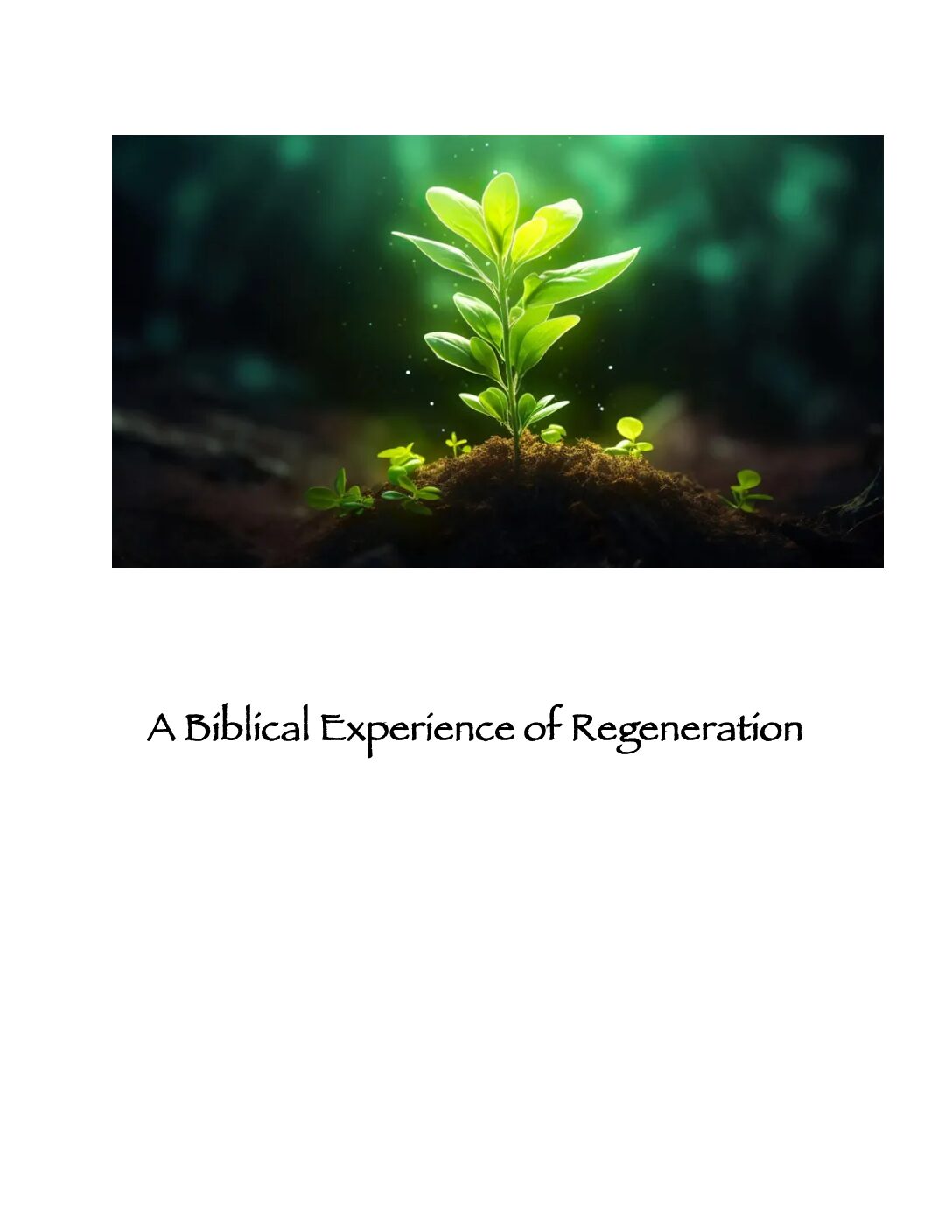 Article Biblical Experience of Regeneration, A