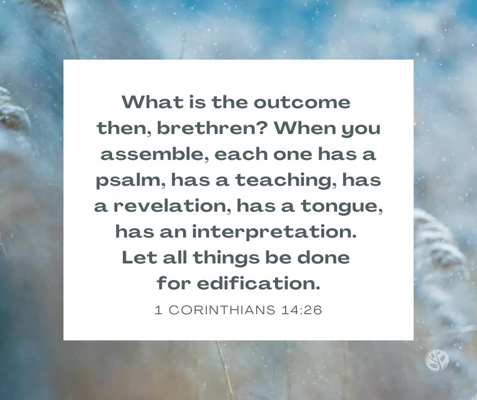 1 Corinthians 14 26 In Context