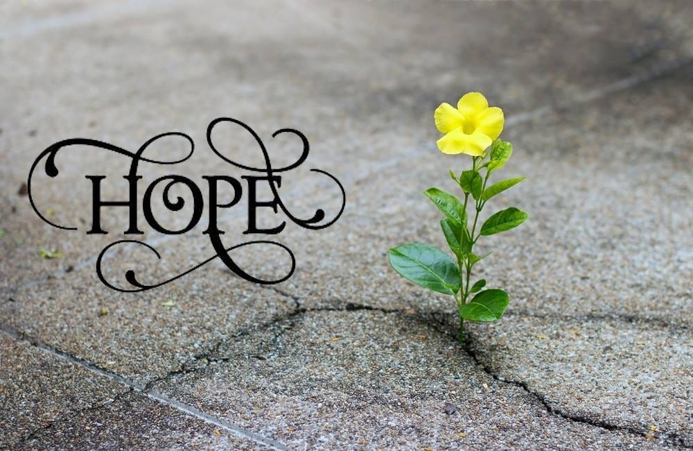 Article Hope_